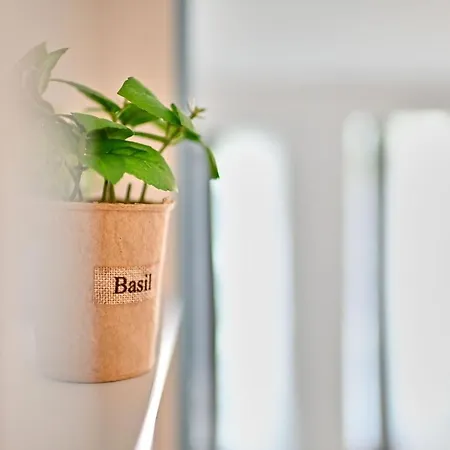 Sea Shore - N Pools Appartement *